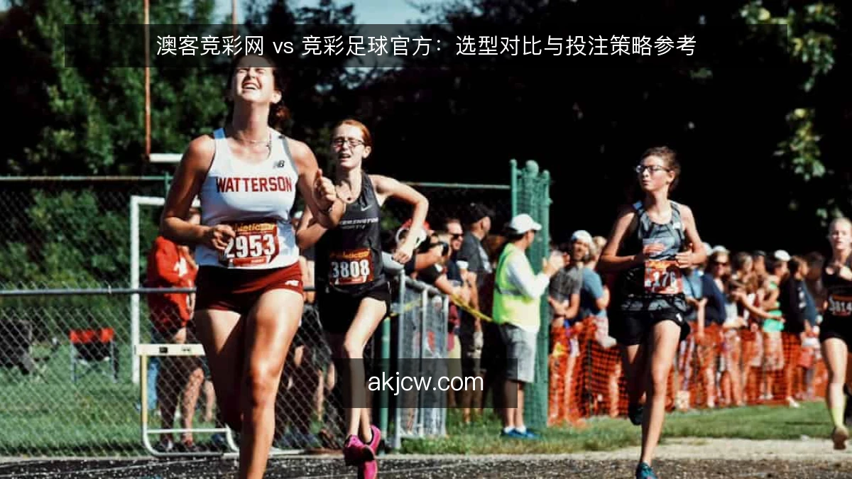 澳客竞彩网 vs 竞彩足球官方：选型对比与投注策略参考