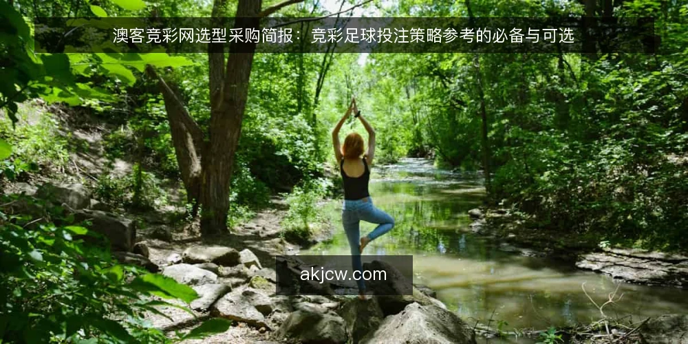 澳客竞彩网选型采购简报：竞彩足球投注策略参考的必备与可选 — 需求界定：先明确你要解决什么问题 配图