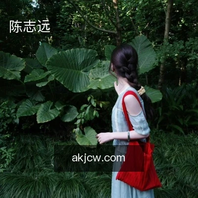 陈志远